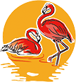 FLAMANT ROSE 火烈鳥(niǎo)